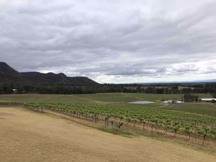 From Haymarket: Hunter Valley Wine and Wildlife Day Trip - Price and Value: What the Base Fare Covers (and What Costs Extra)