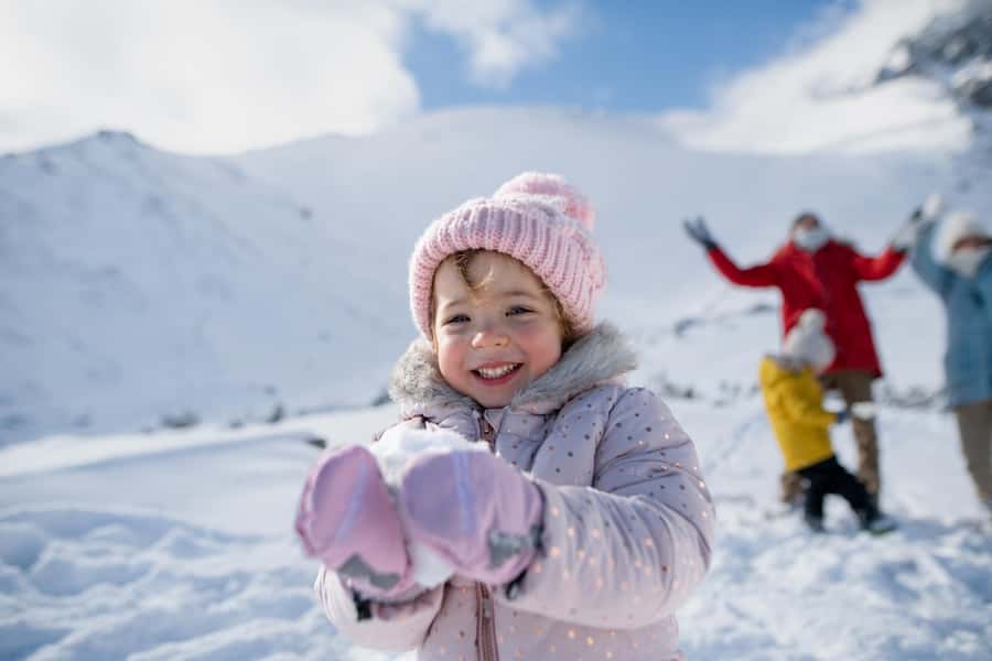 From Sydney: 1-Day Tour to Thredbo Snow Resort - The overnight coach plan: comfort, timing, and less driving stress