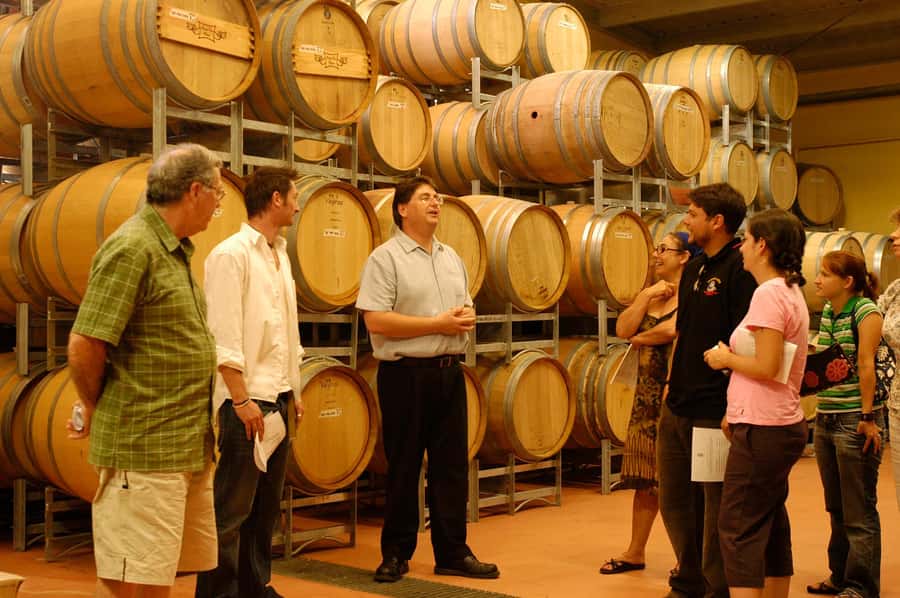 From Sydney: All Inclusive Boutique Hunter Valley Wine Tour - Wildlife moments and travel time you’ll actually enjoy