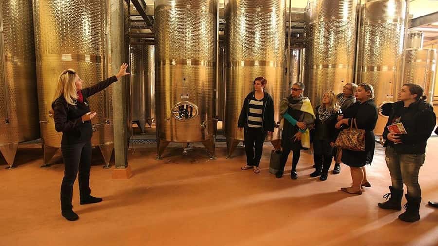 From Sydney: Award-Winning Hunter Valley Wine & Cheese Tour - How this tour sets up a fun, adult-only wine day