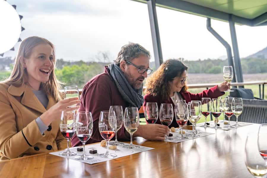 From Sydney: Award-Winning Hunter Valley Wine & Cheese Tour - Cheese tasting at Hunter Valley Cheese Company: enjoy the guidance, check portion expectations