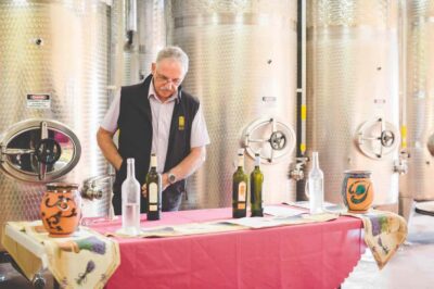 From Sydney: Award-Winning Hunter Valley Wine & Cheese Tour - Boutique wineries and 20+ wines: what to expect in real terms