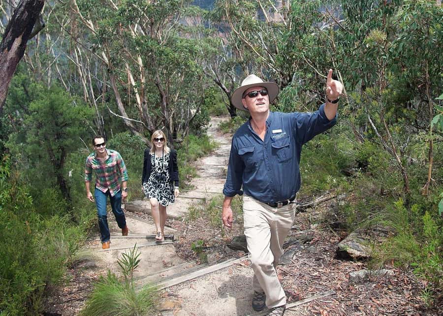 From Sydney: Blue Mountains Bushwalks & Featherdale Tour - Featherdale Wildlife Park: kangaroos and koalas before the walking