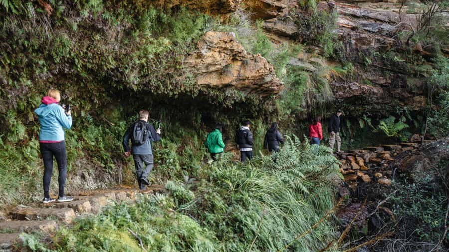 From Sydney: Blue Mountains Bushwalks & Featherdale Tour - The small-group feel: up to 23, A/C comfort, and a guide who talks