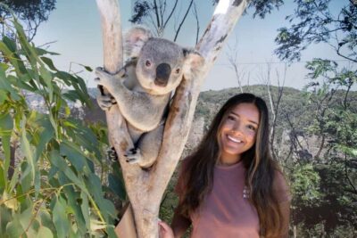 From Sydney: Blue Mountains Day Tour & Hop-on, Hop-off Tour - Central Station departure: what to know before 7:45am