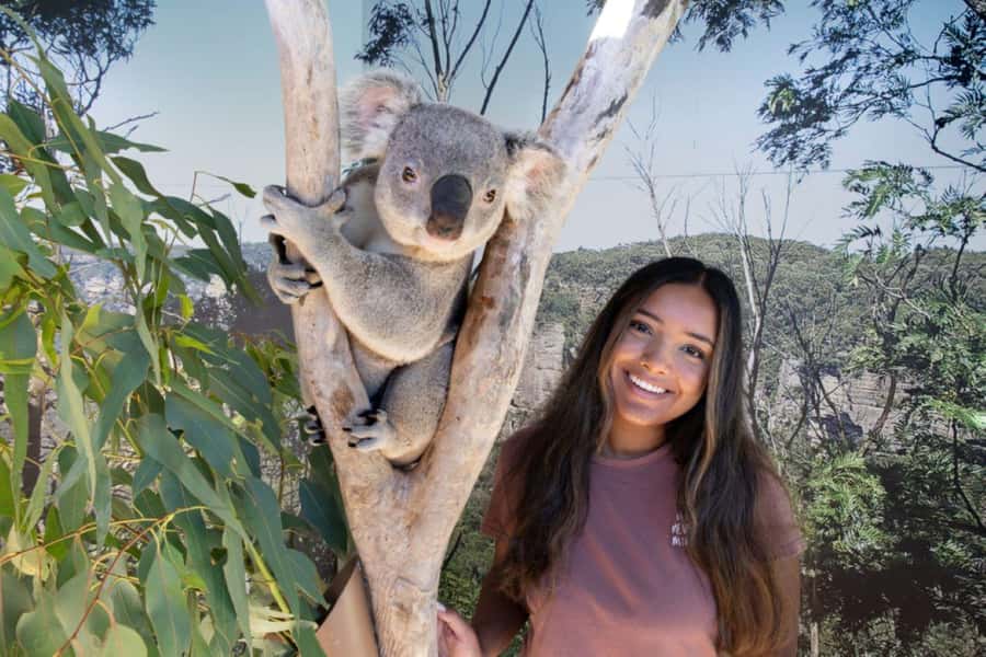 From Sydney: Blue Mountains Day Tour & Hop-on, Hop-off Tour - Central Station departure: what to know before 7:45am