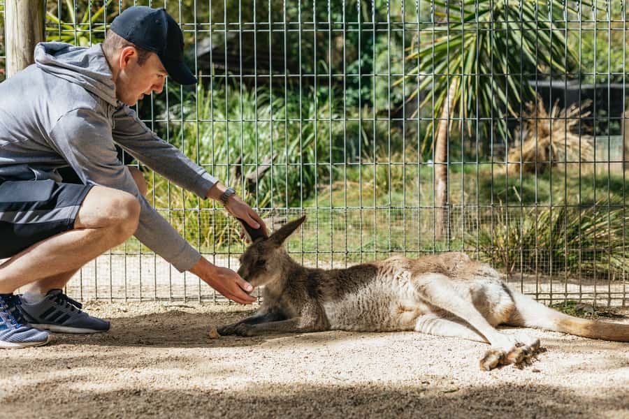 From Sydney: Blue Mountains Full-Day Trip - Key Points to Know Before You Go