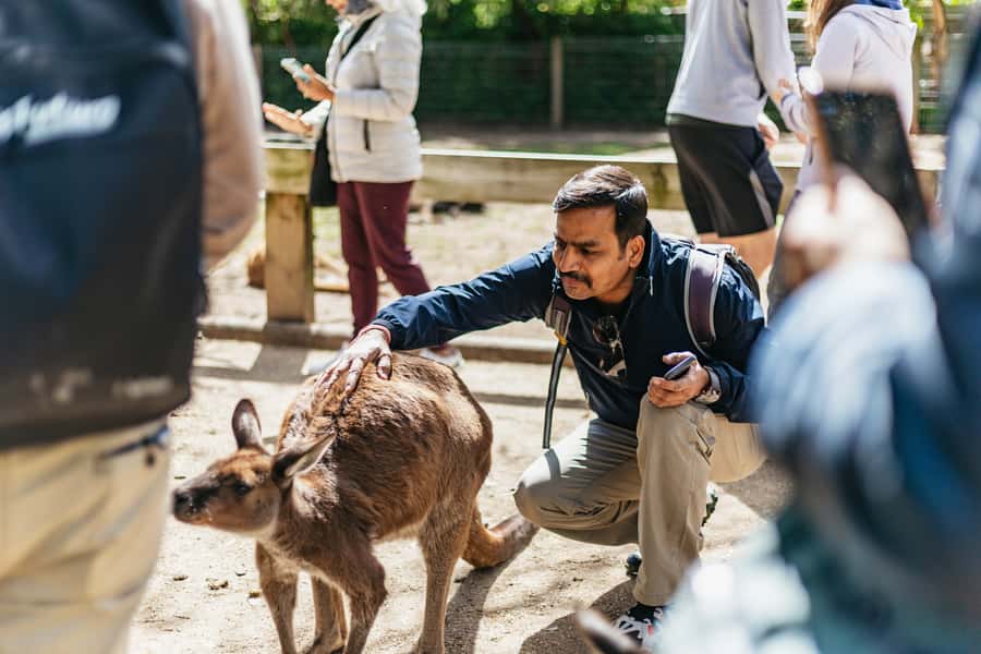 From Sydney: Blue Mountains Full-Day Trip - Leura Village: Lunch Options and a Real Breather