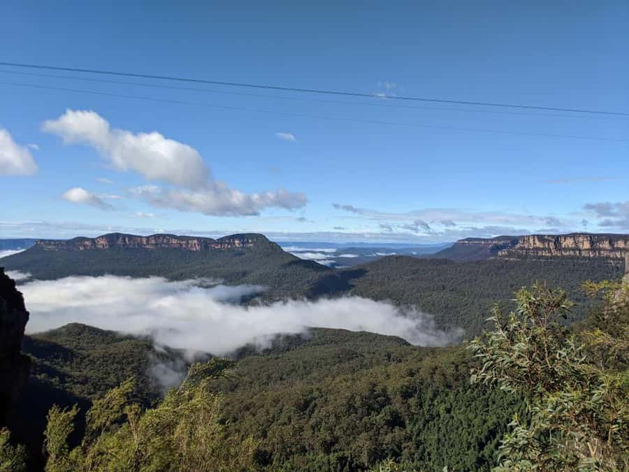 From Sydney: Blue Mountains Private Tour with Wildlife Park - Blue Mountains National Park: the UNESCO part, without the exam