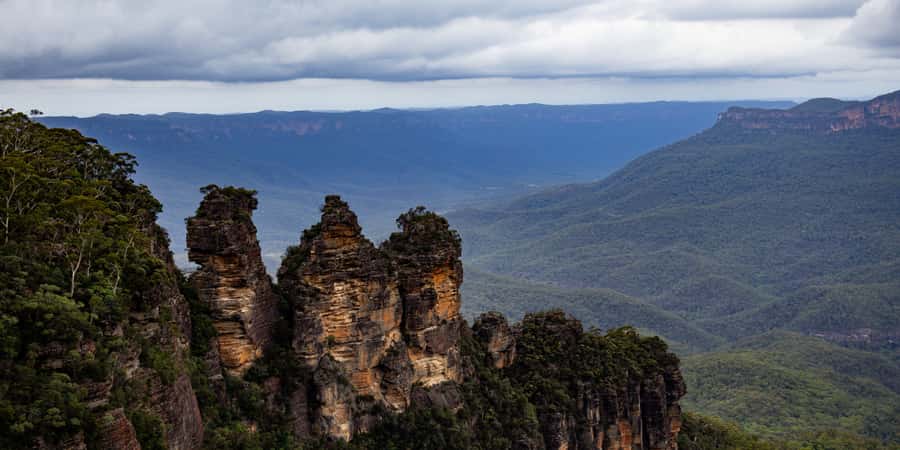 From Sydney: Blue Mountains, Scenic Railway, & Sydney Zoo - Sydney Zoo First: Wildlife Viewing Plus a Kangaroo-Fed Moment