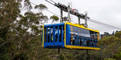 From Sydney: Blue Mountains, Scenic Railway, & Sydney Zoo - Central Sydney Pickup: The Early Start That Pays Off Later