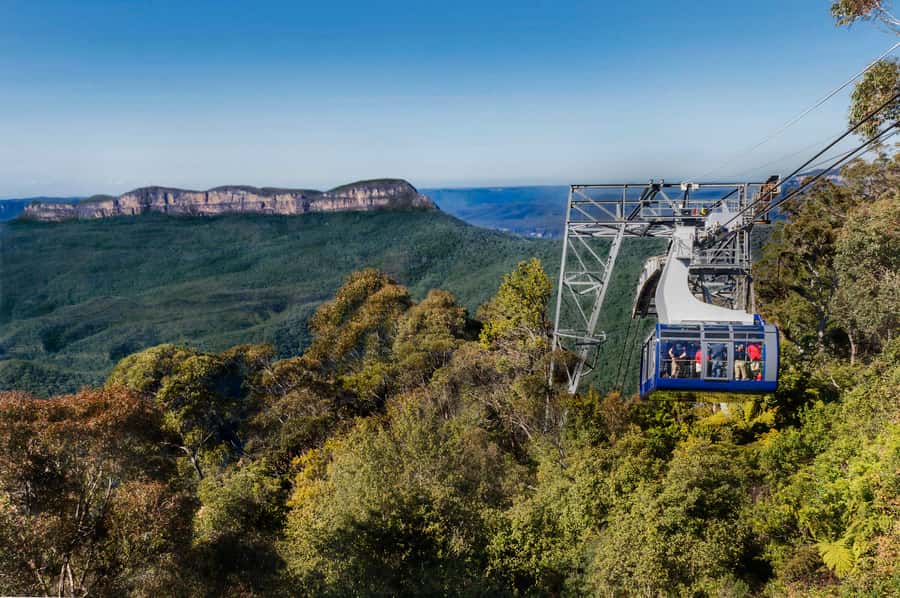 From Sydney: Blue Mountains, Scenic World, Zoo, & Ferry Ride - Weather can make or break the classic photos (and refunds are not part of the plan)