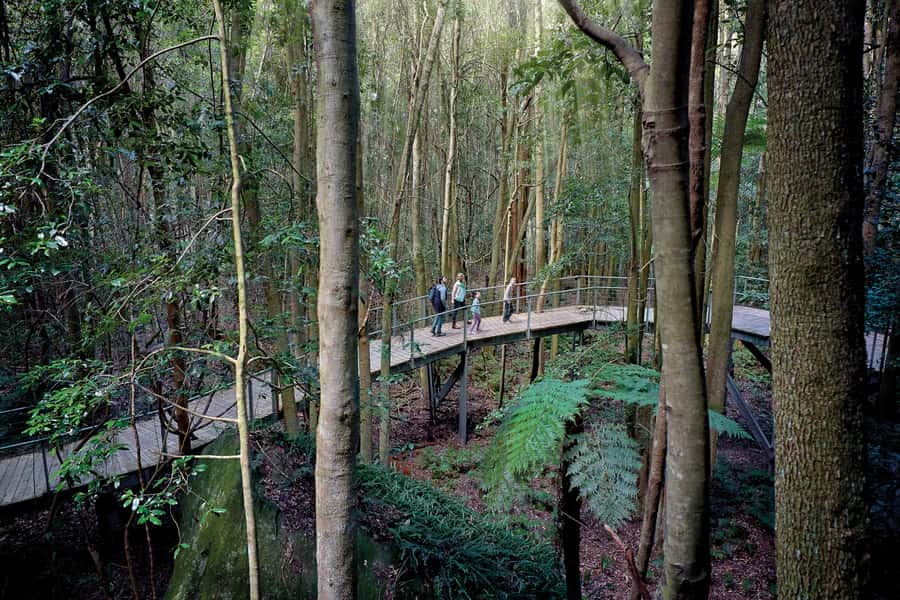 From Sydney: Blue Mountains, Scenic World, Zoo, & Ferry Ride - Scenic World: Skyway, Cableway, the world-steep Railway, and a rainforest walk