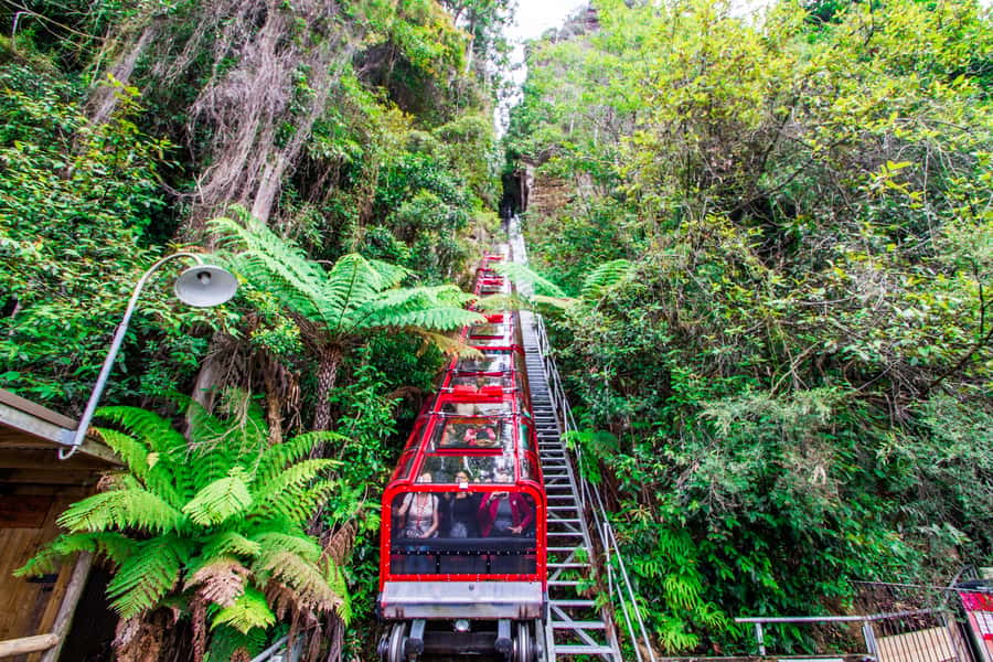 From Sydney: Blue Mountains, Scenic World, Zoo, & Ferry Ride - Echo Point and the Three Sisters: the view matters more than you think