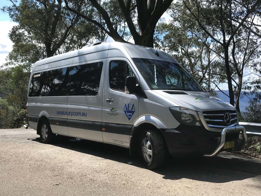 From Sydney: Blue Mountains Small-Group Tour Picnic & Hike - Picnic lunch at the lookout: what to expect and how to make it work