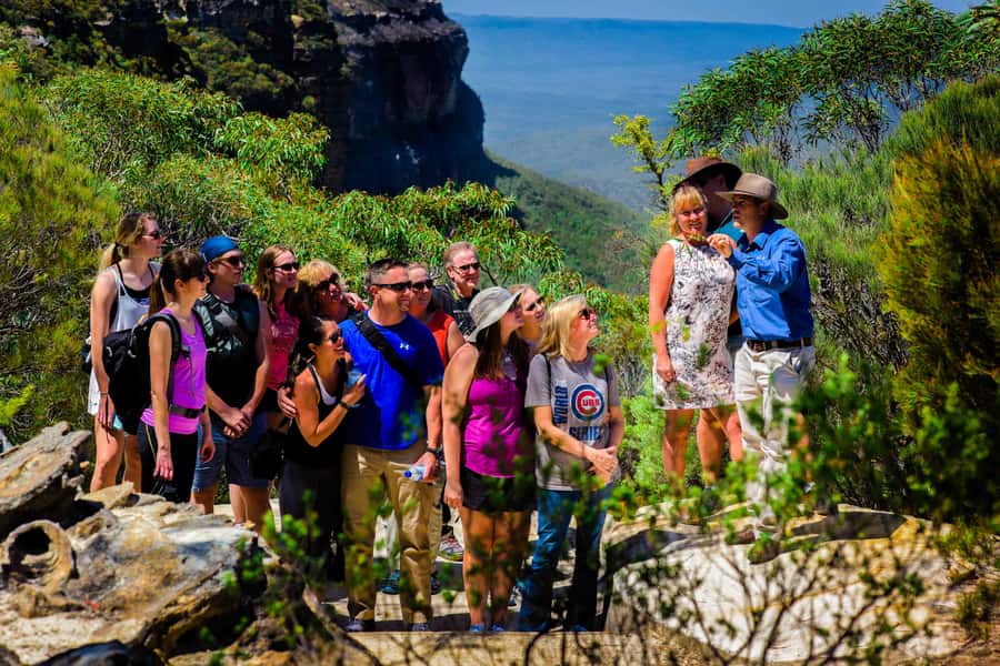 From Sydney: Blue Mountains Small-Group Tour Picnic & Hike - Botanic Gardens and the Wollemi Pine: the wind-down stop