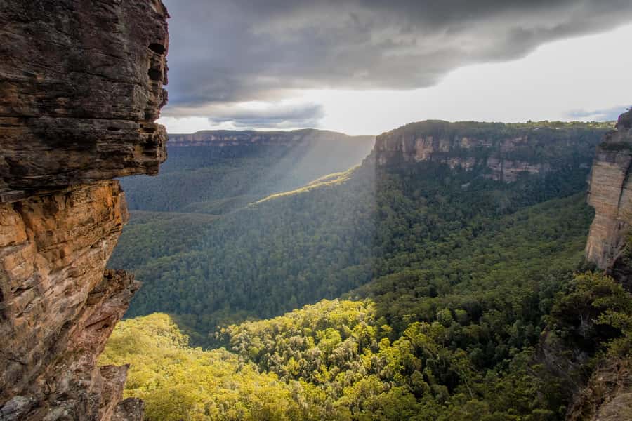 From Sydney: Blue Mountains, Sydney Zoo & Walking Tour - Who this tour suits (and who should skip it)