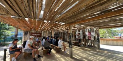 From Sydney: Blue Mountains, Sydney Zoo & Walking Tour - Sydney Zoo in the morning: kangaroos, native wildlife, and timing