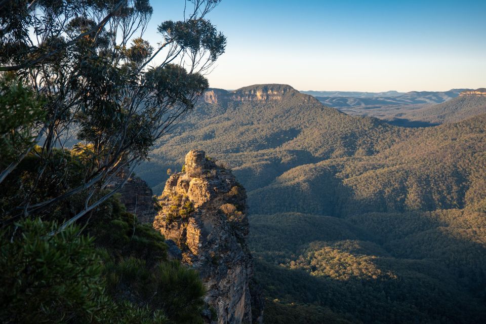 From Sydney: Blue Mountains, Sydney Zoo & Walking Tour - Leura break: lunch and a quick taste of Blue Mountains towns