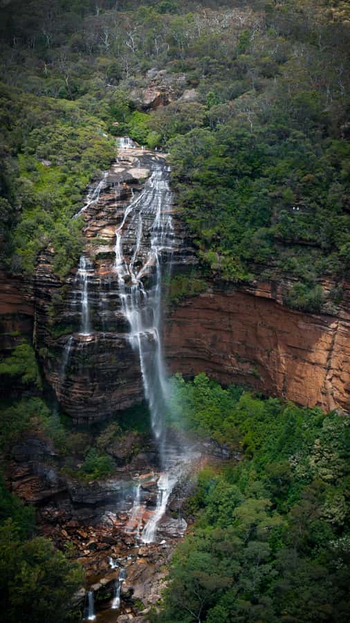 From Sydney: Blue Mountains, Sydney Zoo & Walking Tour - Getting back to Sydney via Homebush Bay and the ferry wharf