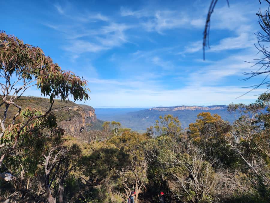 From Sydney: Blue Mountains Tour with Waterfall Walk & Lunch - From Sydney: George Street meeting to a 5.30pm return