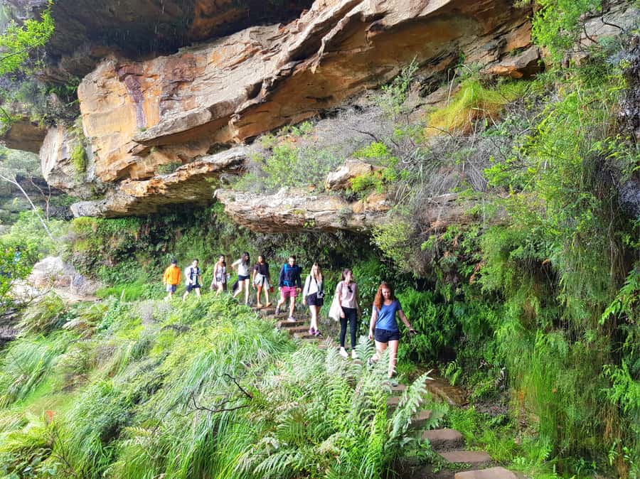 From Sydney: Blue Mountains Tour with Waterfall Walk & Lunch - Katoomba and the Three Sisters: Dream Time story plus valley viewpoints