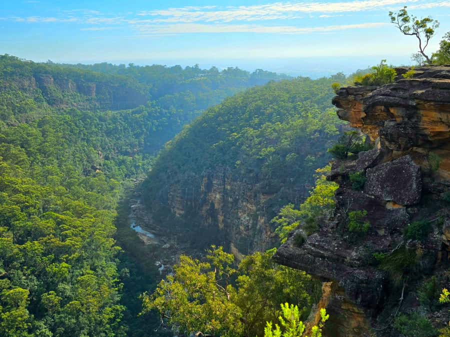 From Sydney: Blue Mountains Tour with Waterfall Walk & Lunch - The minibus ride, snacks, and why the day feels manageable