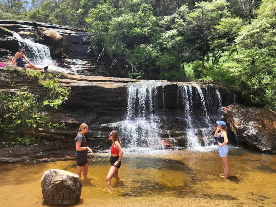 From Sydney: Blue Mountains Tour with Waterfall Walk & Lunch - Small-group size and local guidance: less touristy, more real