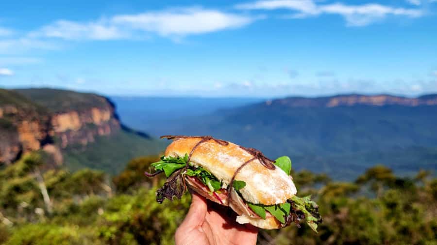 From Sydney: Blue Mountains Tour with Waterfall Walk & Lunch - Price and value: is $85 a fair deal?