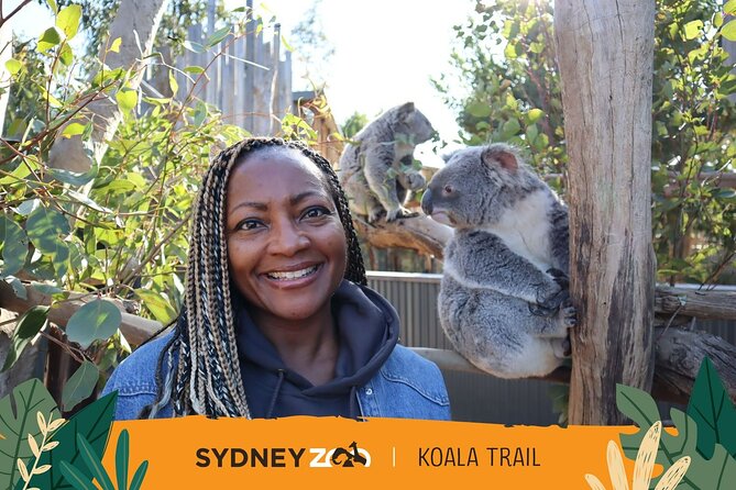 From Sydney: Blue Mountains with Zoo, Koala Photo & Scenic World - The Blue Mountains drive: time in the window between Sydney and UNESCO views