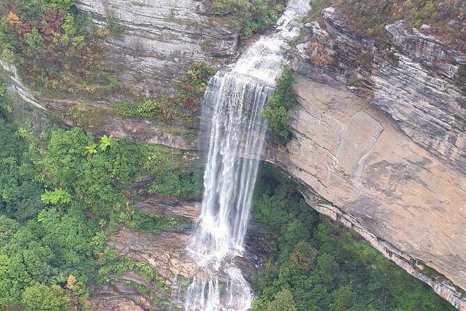 From Sydney: Blue Mountains with Zoo, Koala Photo & Scenic World - Scenic World Unlimited Discovery Pass: the rides that eat (and improve) the day
