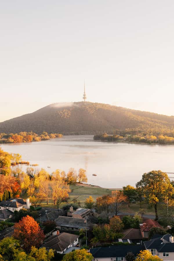 From Sydney: Explore Canberra Includes Buffet Lunch - Scenic Stops on the Way: A Viewpoint Break That Helps You Reset