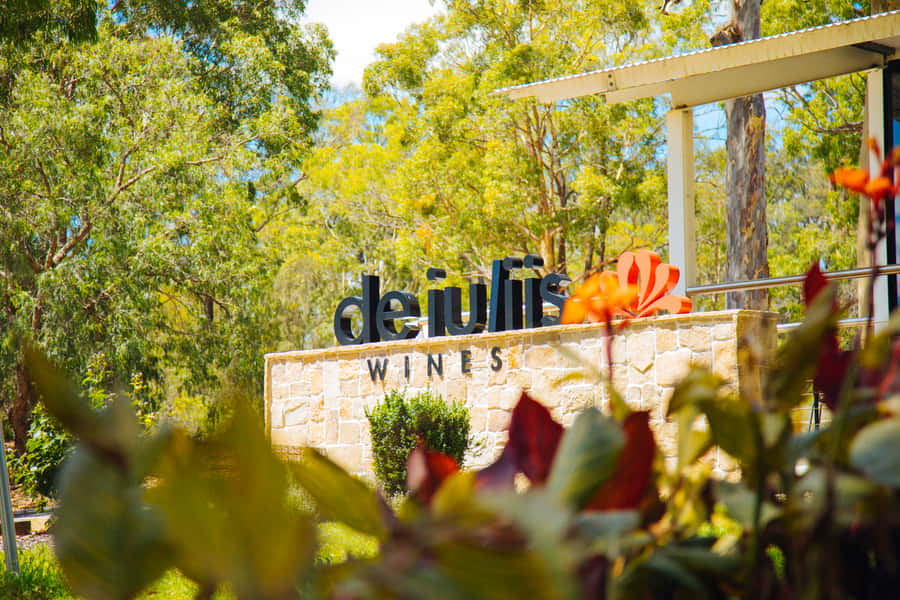 From Sydney: Full-Day Hunter Valley Tour w/ Tastings & Lunch - The Real Value in This Price: What $190 Buys You