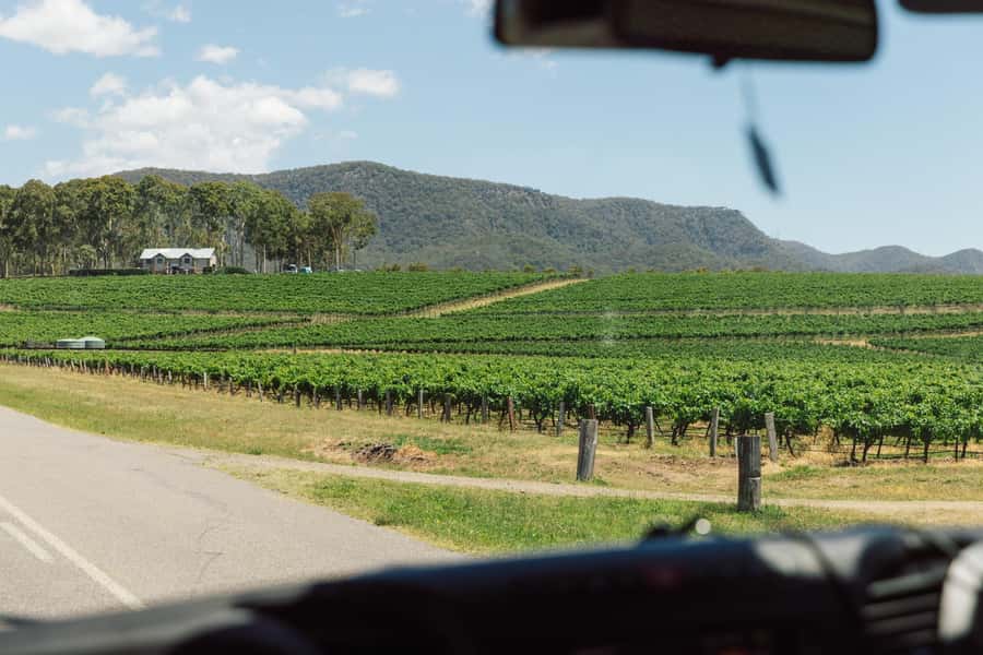 From Sydney: Full-Day Hunter Valley Wine Tour & Lunch - Key Highlights You’ll Care About