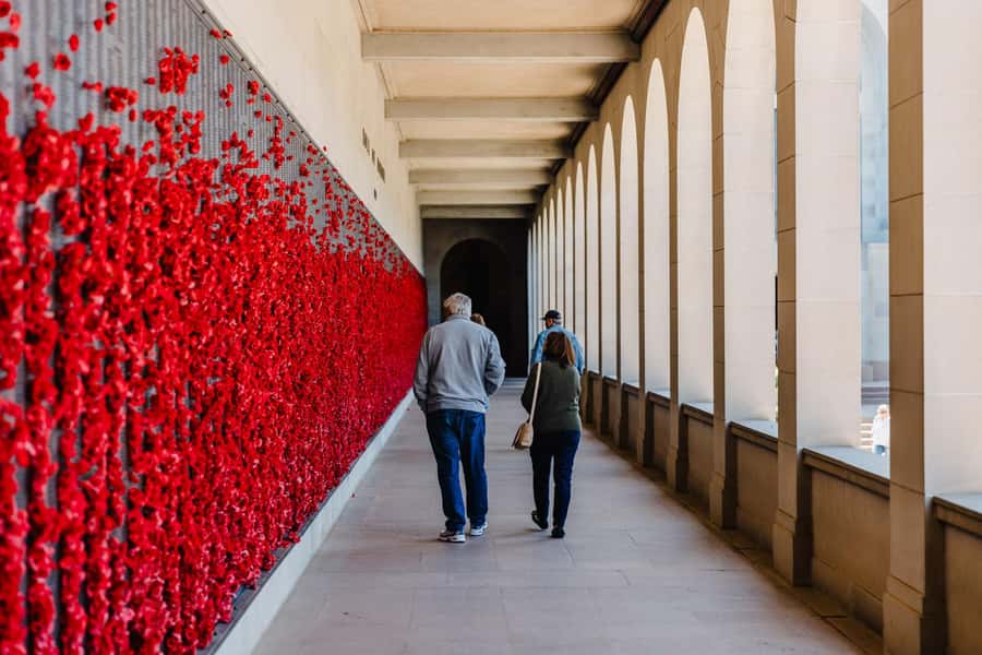 From Sydney: Full-Day Tour to Canberra - Floriade season: when the flowers turn Commonwealth Park into a headline