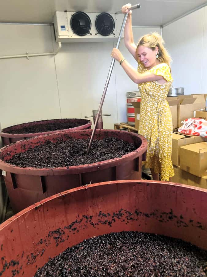 From Sydney: Hunter Valley Beer & Wine Group Tour - Key highlights to pay attention to