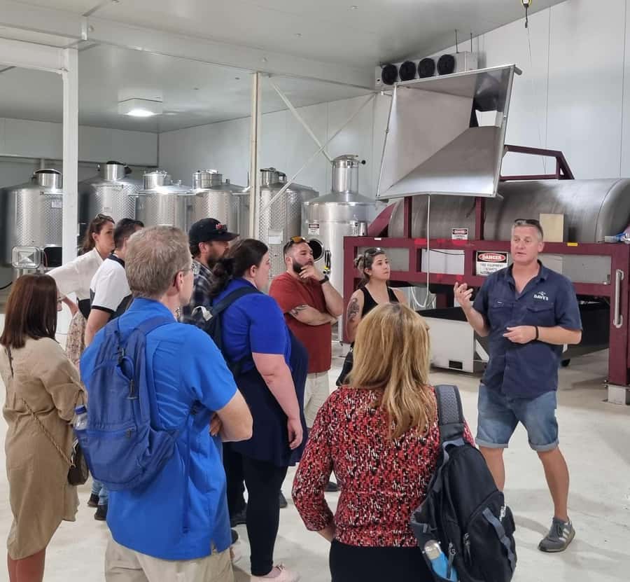 From Sydney: Hunter Valley Beer & Wine Group Tour - Winery and vineyard tours: tasting with context (not just samples)