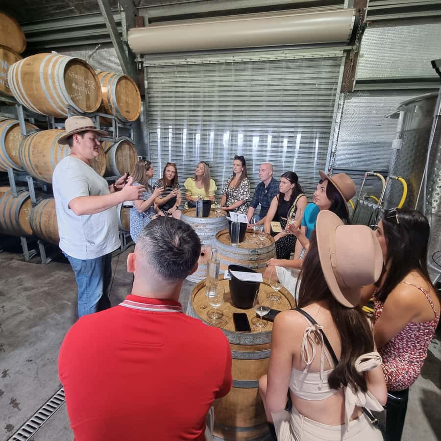 From Sydney: Hunter Valley Wine, Gin & Food Tastings Tour - Why this Hunter Valley day feels built for food-lovers