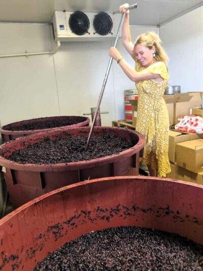 From Sydney: Hunter Valley Wine, Gin & Food Tastings Tour - The Sydney-to-Hunter Valley drive: long, but not wasted