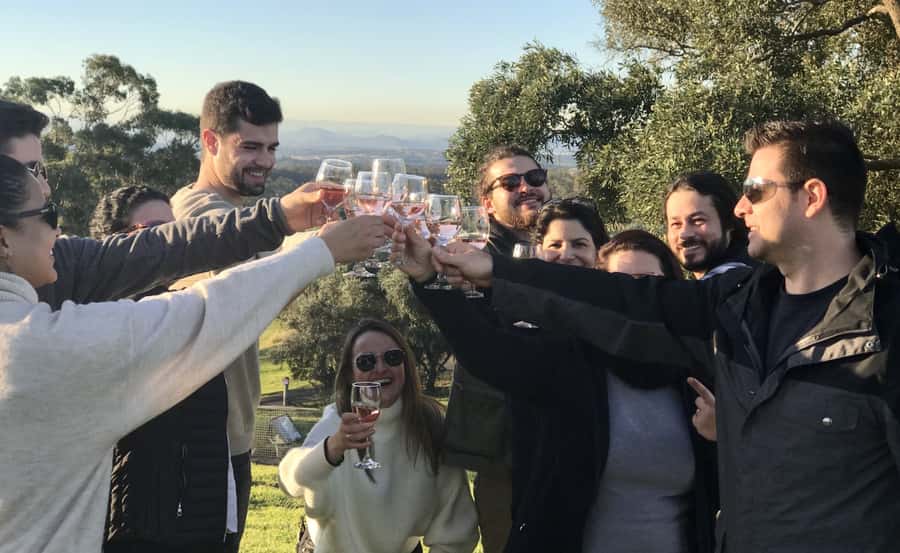 From Sydney: Hunter Valley Wine Tasting & Winery Picnic Tour - 4 Pines Brewery lunch option: beer, food, and a break that resets the mood