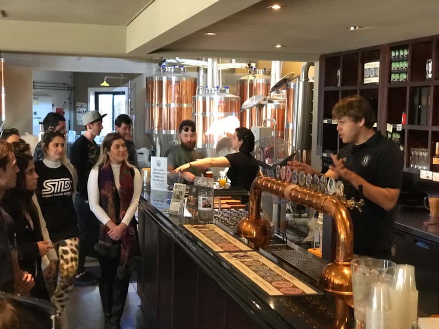 From Sydney: Hunter Valley Wine Tasting & Winery Picnic Tour - Who this tour is best for (and who should think twice)
