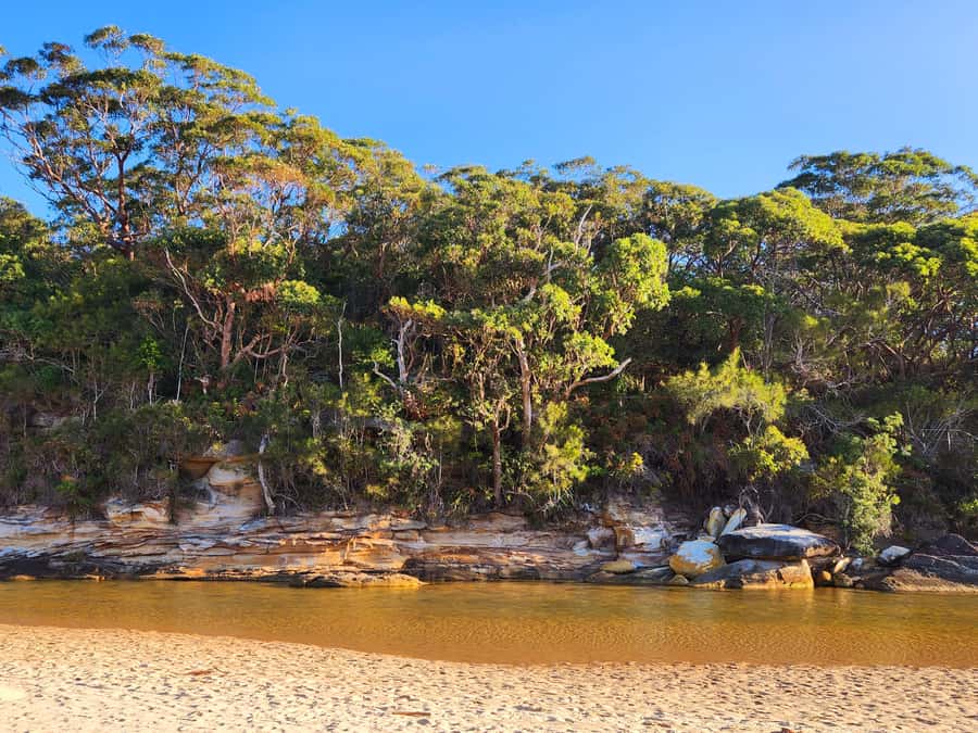 From Sydney: Royal National Park, Wollongong, and Kiama Tour - Kiama Blowhole: the loud star attraction