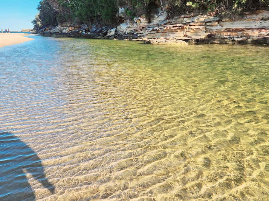 From Sydney: Royal National Park, Wollongong, and Kiama Tour - Price and real value: what $300 doesn’t cover