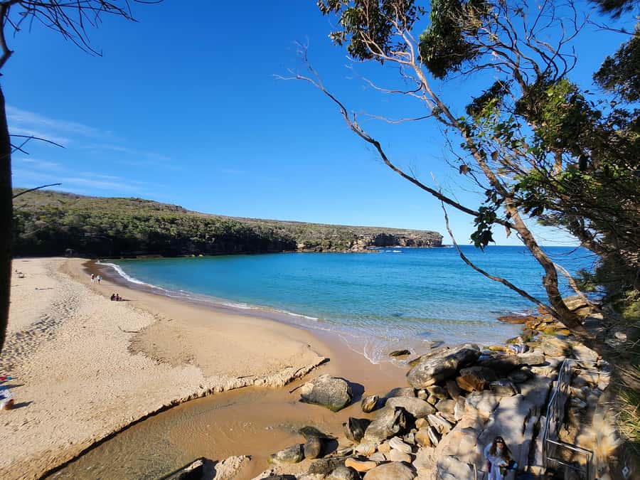 From Sydney: Royal National Park, Wollongong, and Kiama Tour - Getting started at Rydges World Square: van ride and what to pack