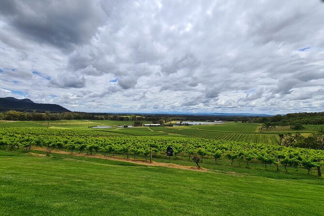 Full Day Private Wine Tour Exclusively Tailored To Suit You - Key highlights you’ll care about