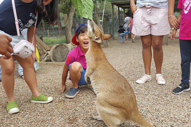 Fully Inclusive Blue Mountains Private Tour inc Scenic World & Featherdale Entry - Stop 2: Scenic World includes the cable cars and the steep railway