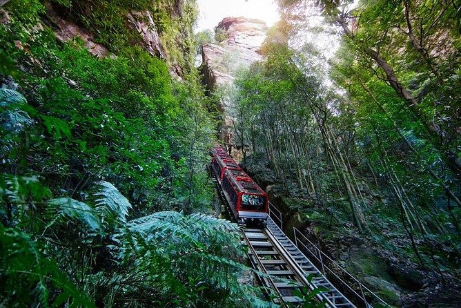 Fully Inclusive Blue Mountains Private Tour inc Scenic World & Featherdale Entry - Stop 7: Glenbrook off-the-beaten-track viewpoints