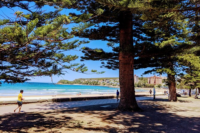 Golden Beaches and Ocean Vistas MANLY AND NORTHERN BEACHES PRIVATE TOUR - Key highlights worth your time
