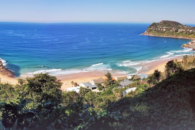 Golden Beaches and Ocean Vistas MANLY AND NORTHERN BEACHES PRIVATE TOUR - A private full-day route that actually feels tailored
