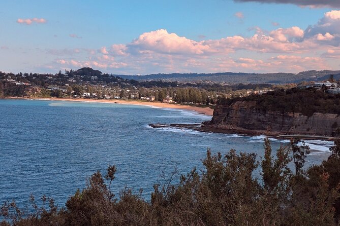 Golden Beaches and Ocean Vistas MANLY AND NORTHERN BEACHES PRIVATE TOUR - Little Manly Beach and the rockpool mindset